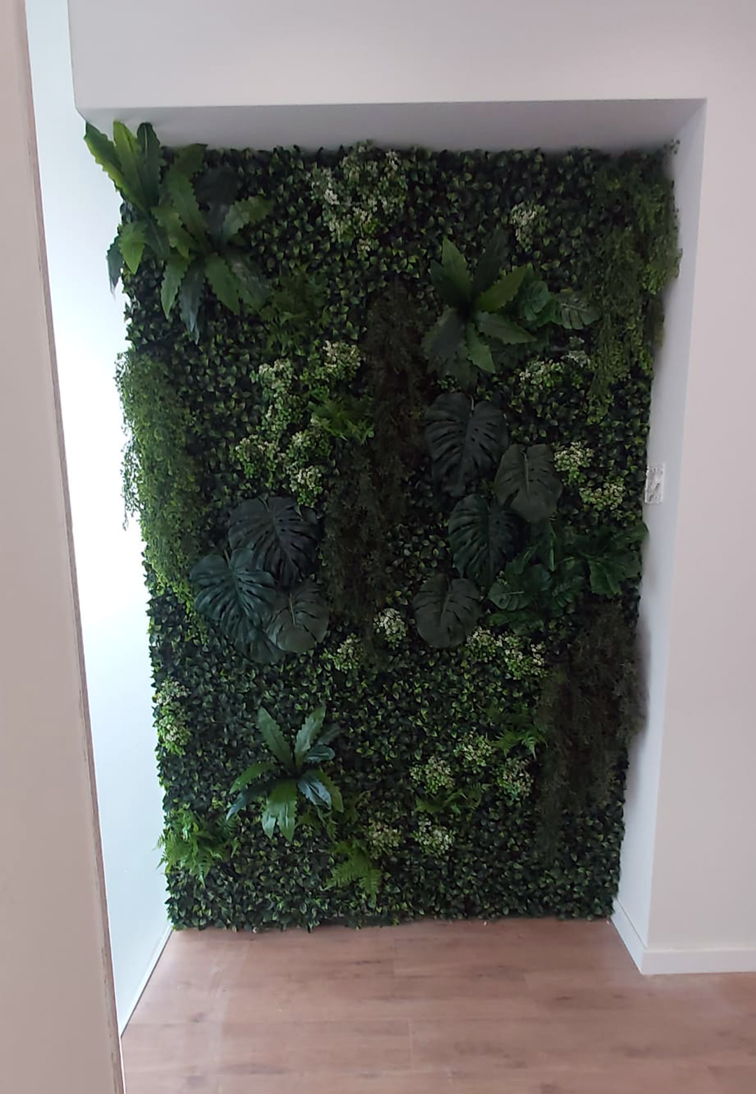 ZOÍ Solutions